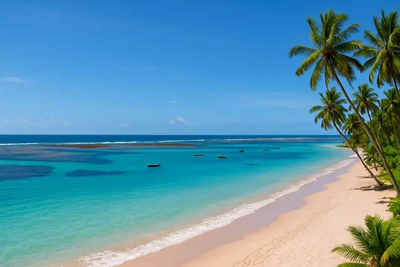 Descubra os Melhores Passeios com portodegalinhas.ciaturismo